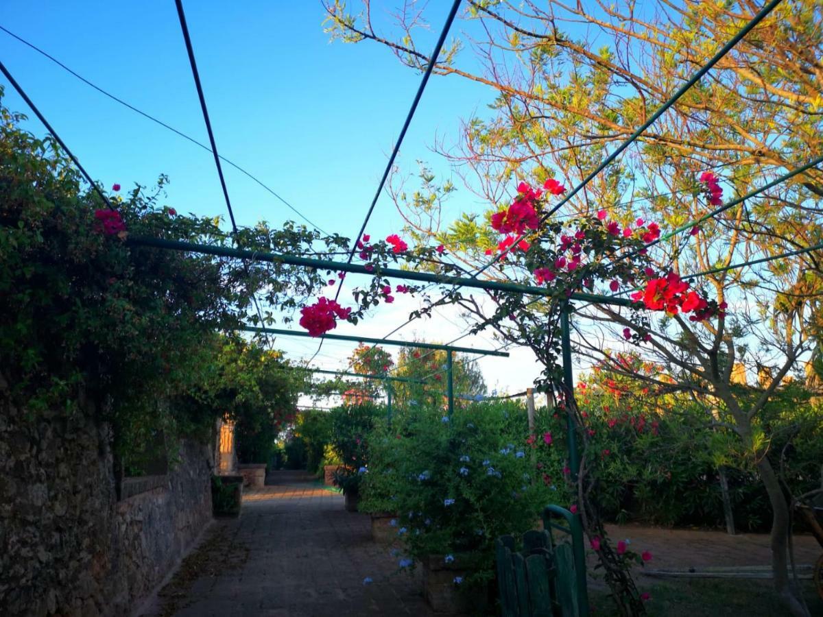 Masseria Provenzani Villa Trepuzzi Exterior photo